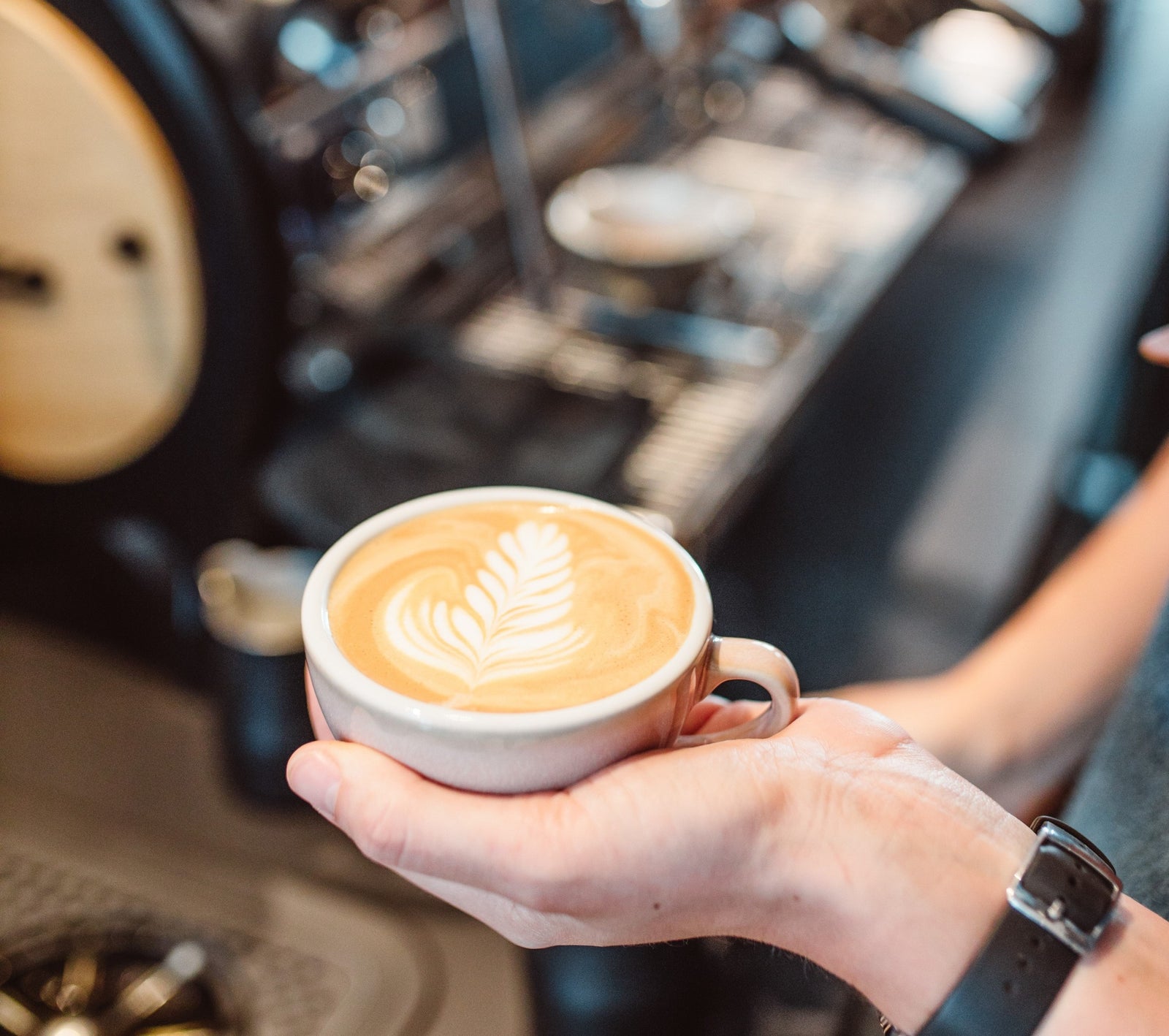 Workshop - latte art