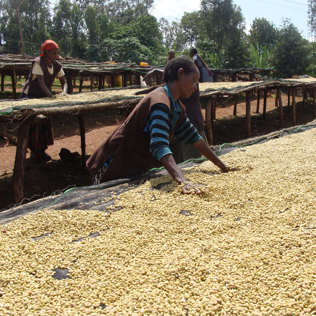 TRIP to Ethiopia