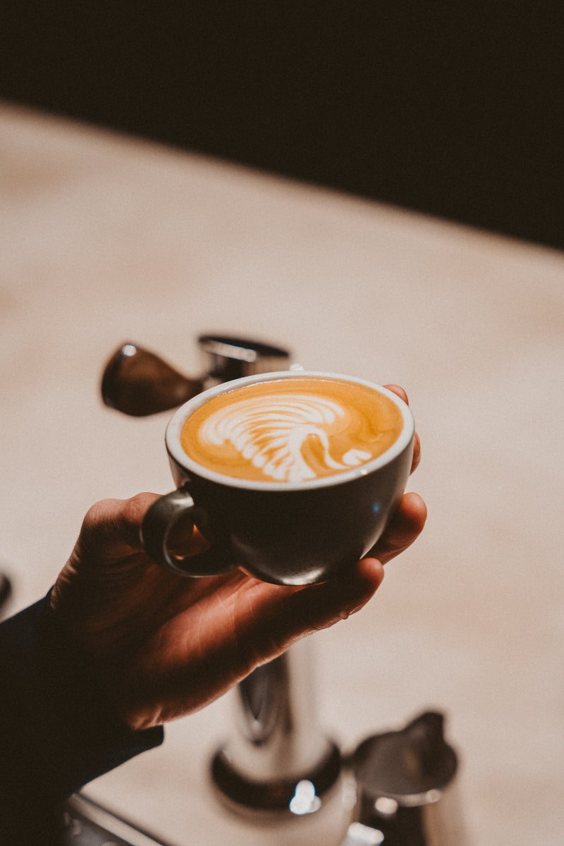 Workshop - latte art PRO