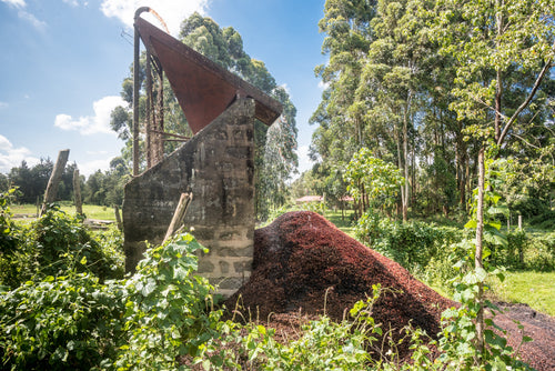 Kiangundo Nyeri AB — Kenya